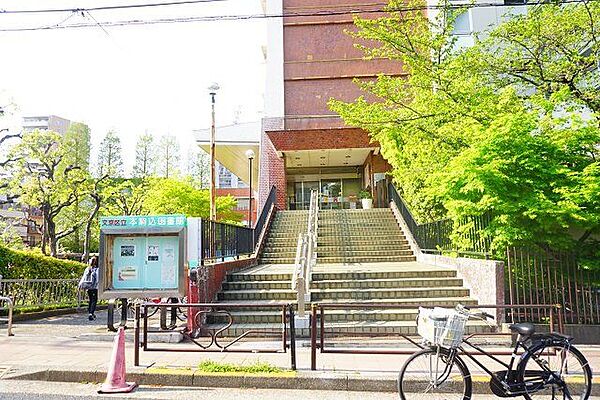 周辺を拡大表示