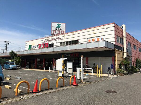 画像29:【スーパー】食品館アプロ 堺水池店まで574ｍ