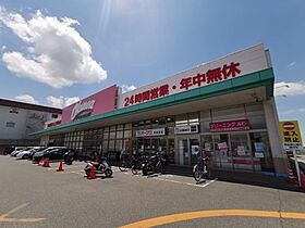 大阪府堺市美原区多治井（賃貸マンション1LDK・2階・38.25㎡） その29