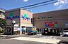 周辺：ドラッグスギヤマ白壁店■医薬品・化粧品・日用雑貨などを取り扱っており、処方箋の受け取りも可能です。食品もあるので、とても便利ですね！ 1150m