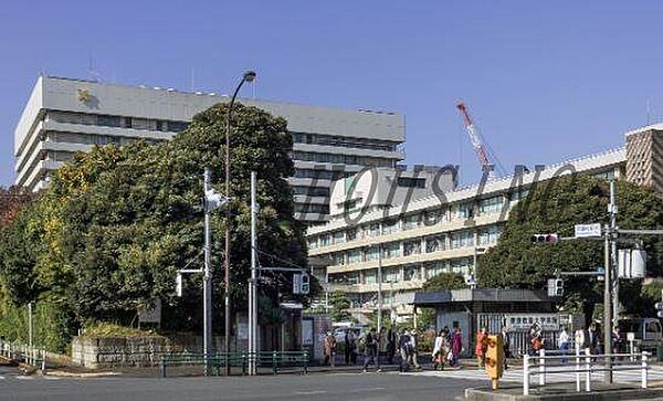画像18:慶應義塾大学病院 558m