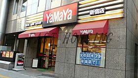 東京都渋谷区本町４丁目（賃貸マンション1K・3階・16.20㎡） その4