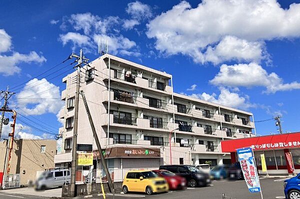 ウェーブビル ｜鹿児島県姶良市東餅田(賃貸マンション3DK・3階・55.00㎡)の写真 その1