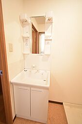 シャンプードレッサー