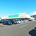周辺：スーパー「ツルヤ並柳店まで1677m」