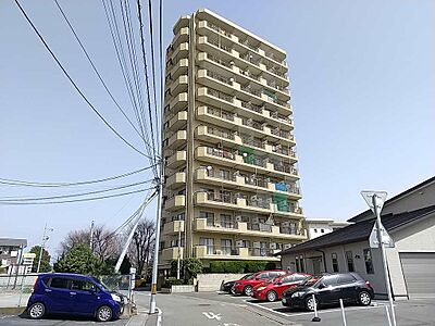 外観 外観