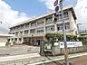 周辺：【小学校】高知市立秦小学校まで316ｍ