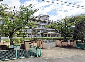 IVY COURT B棟 202 ｜ 高知県高知市弥生町17-2（賃貸アパート1LDK・2階・47.54㎡） その6