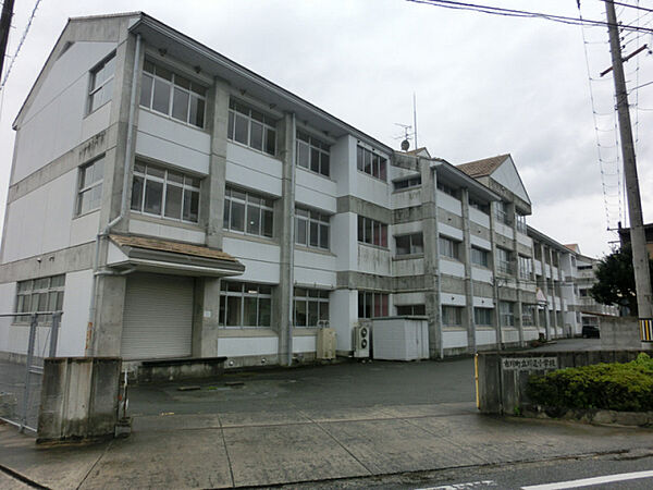 画像27:川辺小学校