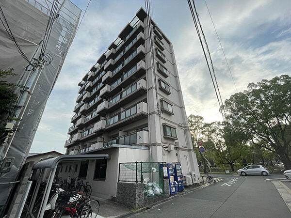 ロッキーコートナカヤ ｜兵庫県姫路市南条(賃貸マンション1R・7階・24.71㎡)の写真 その1