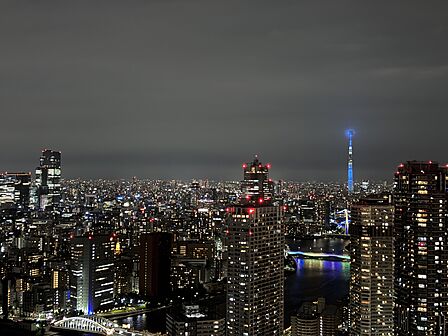 バルコニー北東側からは東京スカイツリー