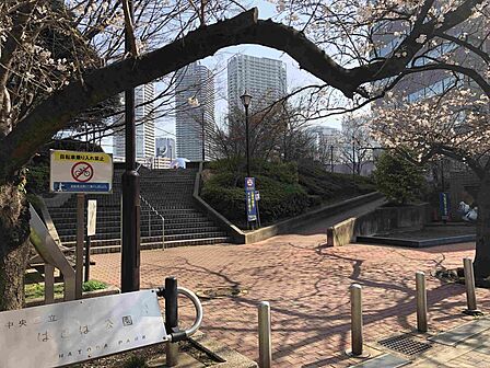 はとば公園 まで(225m)