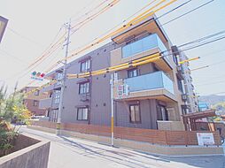 春陽