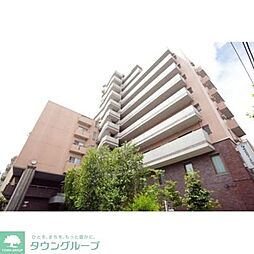 東京メトロ半蔵門線 住吉駅 徒歩9分の賃貸マンション