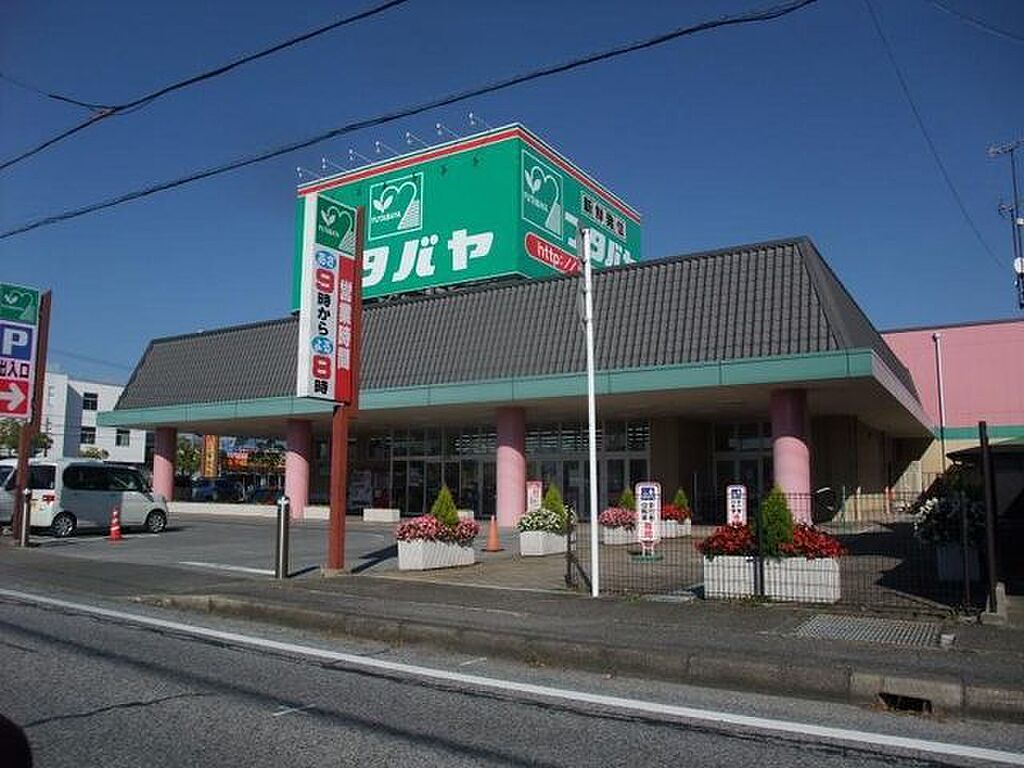 Image 11