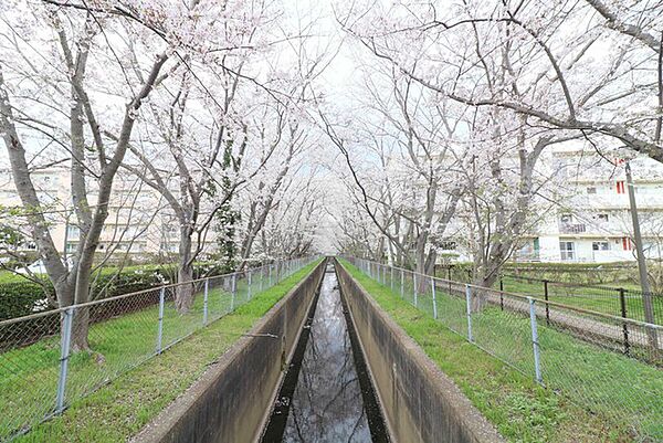 UR取手井野 ｜茨城県取手市井野団地(賃貸マンション3K・5階・48.64㎡)の写真 その16