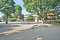 関町ひがし公園...