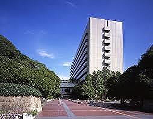 画像15:姫路市役所  1.0 km