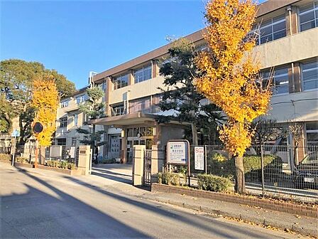 福岡市立春吉中学校 800m