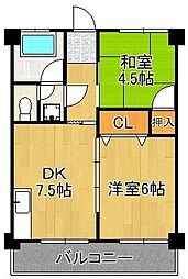 ラシーヌ新池 4階