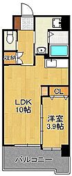 プリーモ天神 5階/-