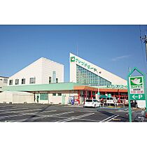 ジャパンハイツ 203 ｜ 滋賀県長浜市三ツ矢元町（賃貸マンション2K・2階・35.00㎡） その16