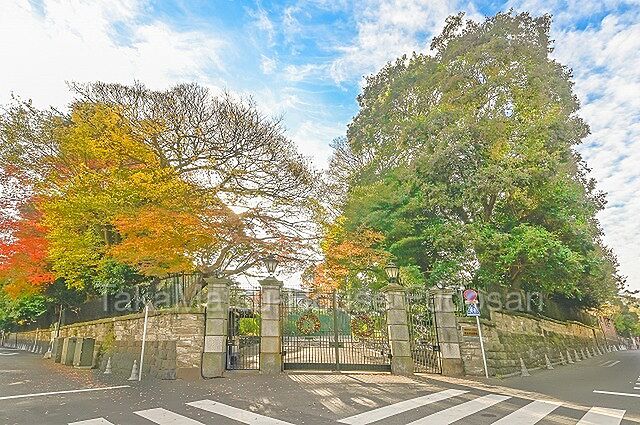 周辺 ブランズタワー芝浦　29階部分 29階/-