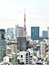 その他：港区白金からの東京タワービュー