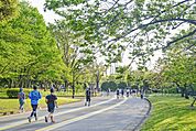 様々な用途で利用できる公園です。