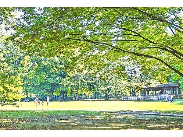 周辺を拡大表示