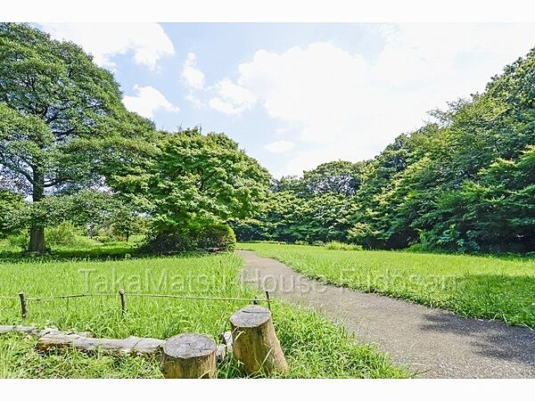 周辺を拡大表示
