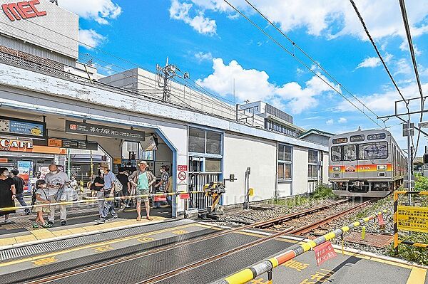 周辺を拡大表示