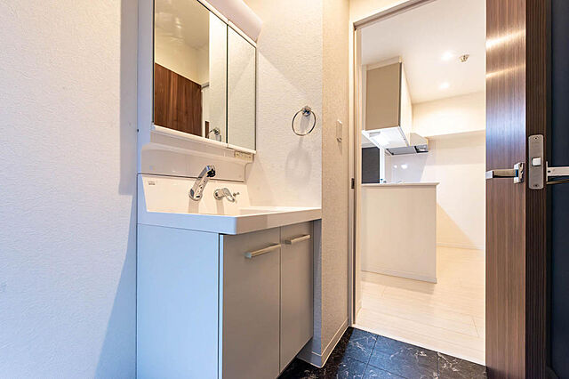 洗面 南青山セピアコート 4階/403