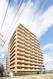 ネオハイツ荒川公園