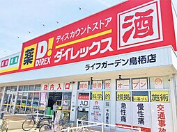 ダイレックス ライフガーデン鳥栖店（1005m）
