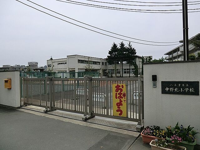 周辺 八王子市左入町