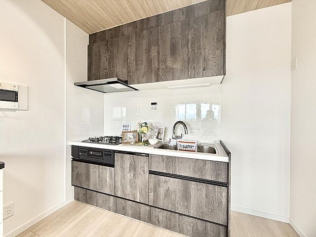 キッチン マイキャッスル国立 11階/-