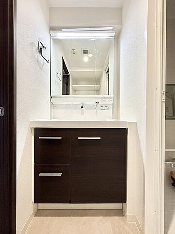 洗面 マイキャッスル国立 11階/-