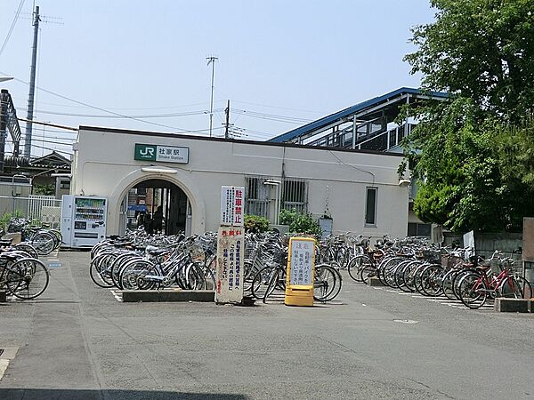 周辺