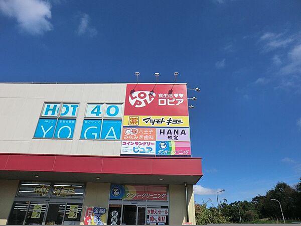 周辺を拡大表示