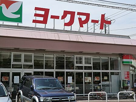 スーパー 550m ヨークマート大倉山店