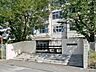 周辺：中学校 579m 八王子市立四谷中学校