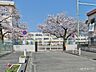 周辺：小学校 400m 八王子市立第五小学校
