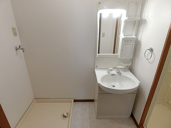 画像11:シャワー付きの洗面台。洗濯機も室内に設置が可能です。