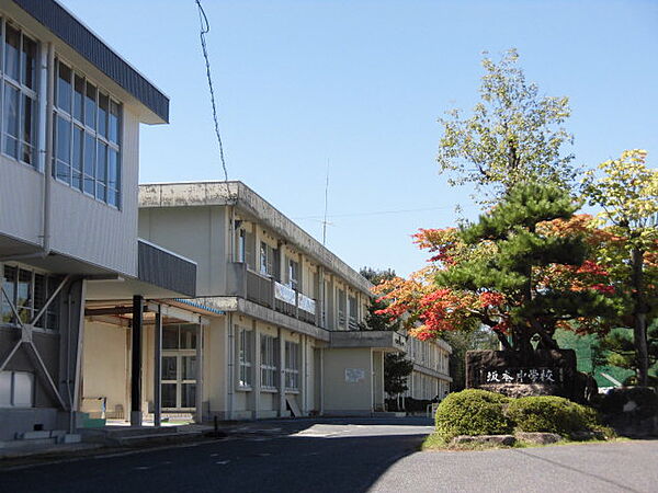 画像18:中津川市立坂本中学校（1802m）
