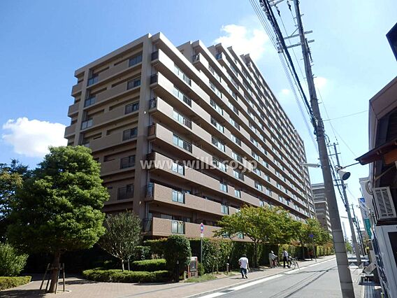 シップス本山の...