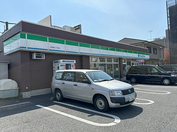 画像9:【コンビニエンスストア】ファミリーマート 上板橋三丁目店まで364ｍ