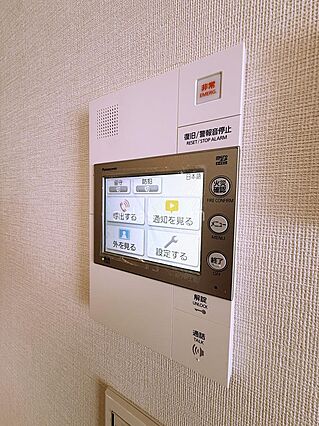 大きなカラーモ...