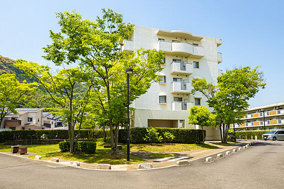 UR都市機構若山台第4団地15号棟_その他_4