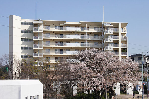 画像14:住棟前にけやきや桜の木があり、四季が感じ取れます。